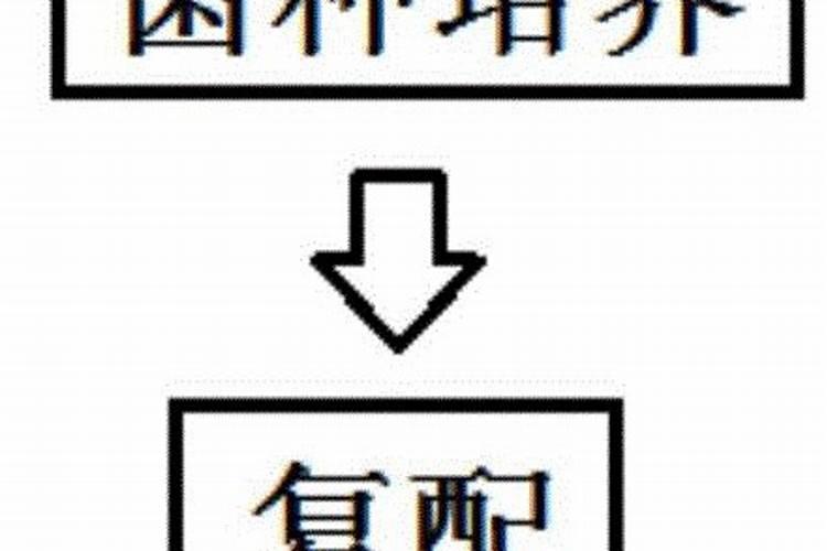 硼肥的最佳使用时期 硼肥的最佳使用是什么时候