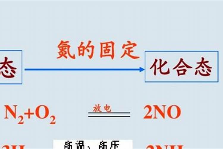 豆科植物固氮是什么氮肥