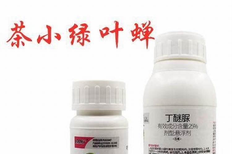 甲维虫螨腈能杀什么虫