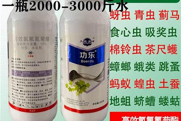营养跟不上怎么补营养