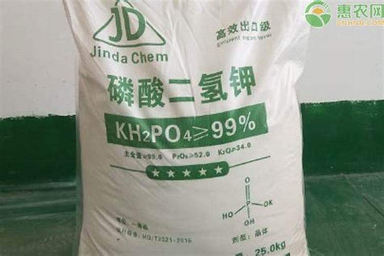 给月季和栀子花咋样施磷酸二氢钾肥