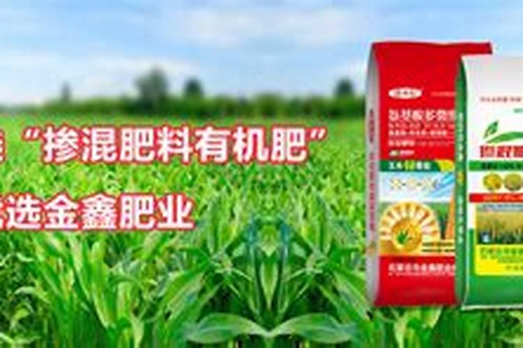 猫结石吃什么药能化石