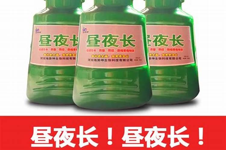 早熟禾怎么养护？草地早熟禾养护管理方法