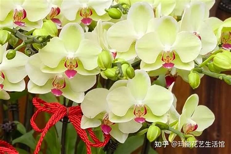 乌海化工公司简介