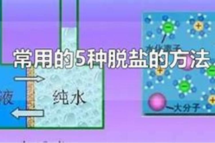 桑葚树浇什么肥果会甜