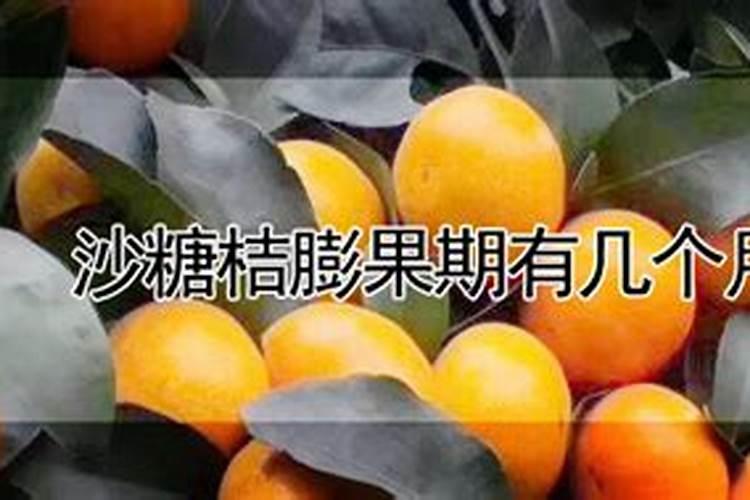 辣椒开花结果期用什么肥料