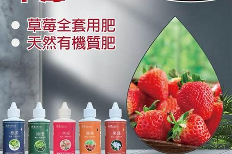 草莓肥料哪些品牌最好
