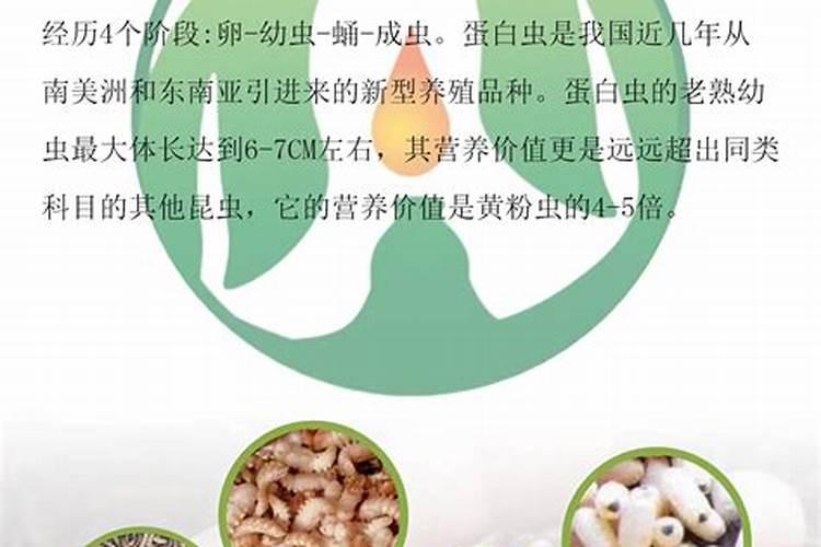 夏季高温果树开花有必要用生根养根肥？