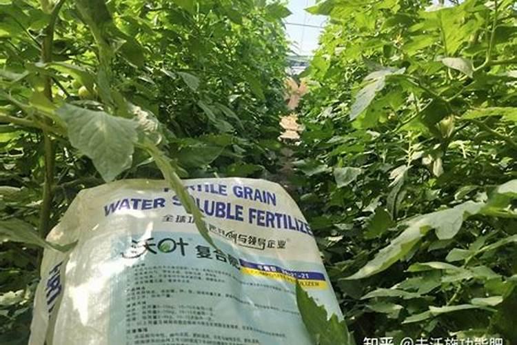 下面这些绿色颗粒是哪种肥料？外面一层膜捏碎里面是液体