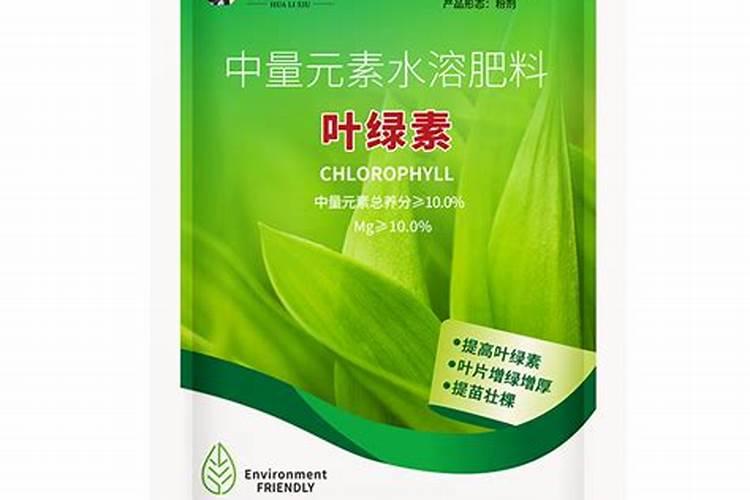 花卉用什么肥叶子油亮