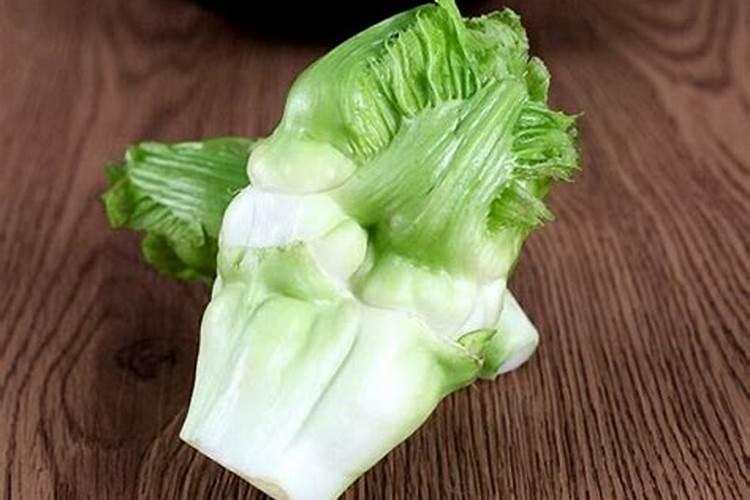 儿菜种植技术