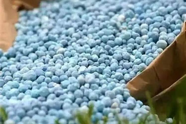 蛋壳泡水发酵后是什么肥料