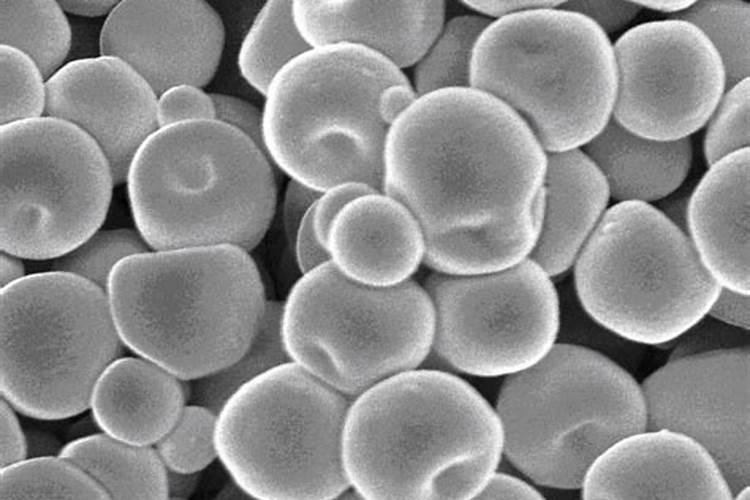 纳米碳溶胶的简介