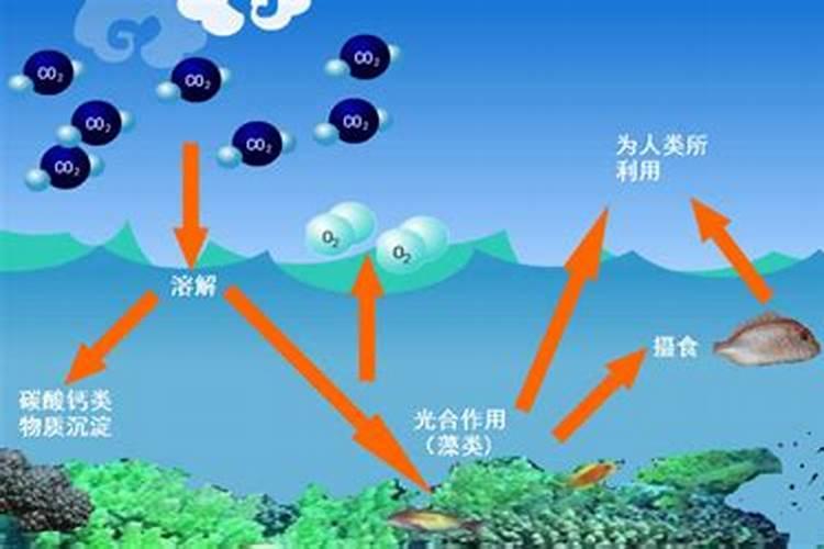 含腐植酸钾的大量元素水溶肥,时间长了腐植酸钾溶解不了是什么原因