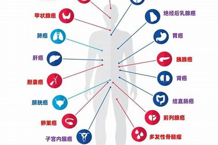 水的温度是否影响溶解的快慢