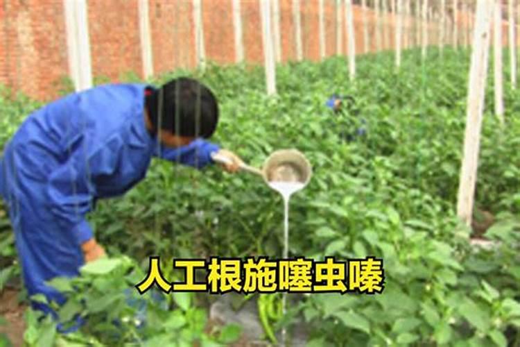海澡肥主要养分是什么