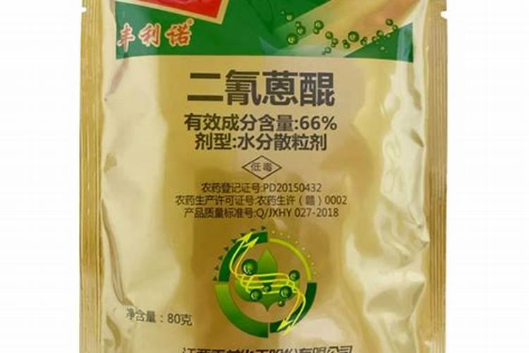 辣椒果实上有两头尖的病斑