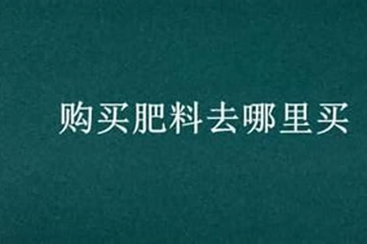 茉莉花的问题
