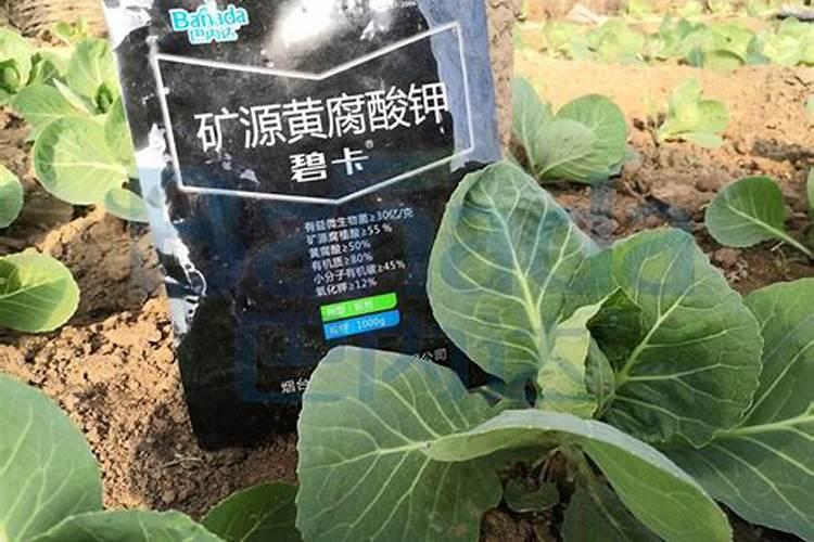 黄腐酸钾,黄腐酸浓缩液在肥料中,水产养殖中的应用