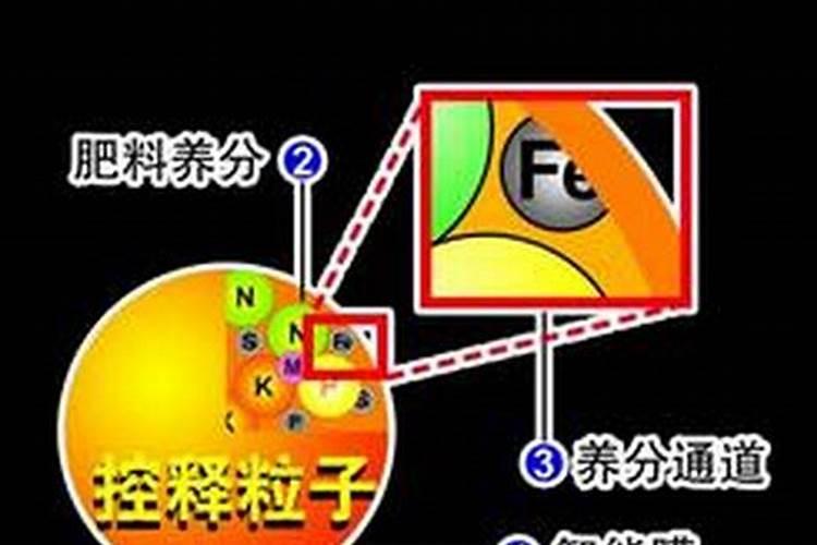 黄皮果北方可以种植吗 适合什么地区种植