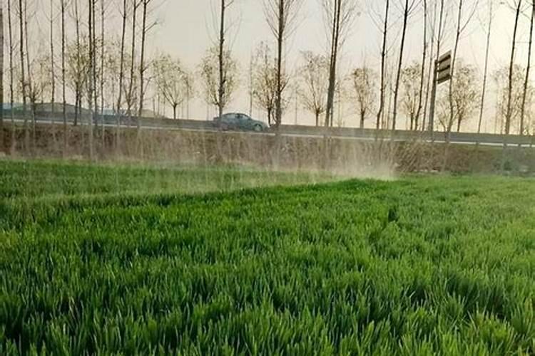 大量元素水溶肥料标准和作用是什么？保质期是多久？