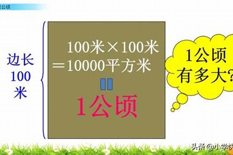 板栗园如何施用硼肥？