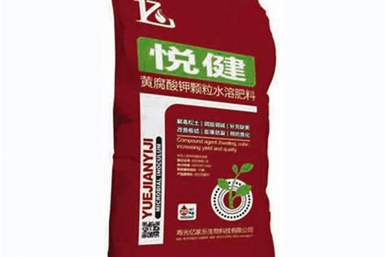 金钱树用什么肥料好