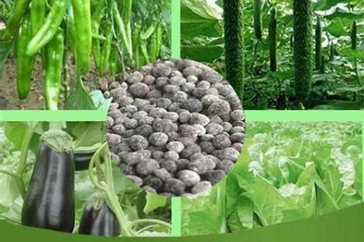 临西县盛旺生物有机肥有限公司怎么样？