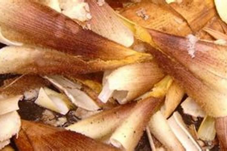 家里毛笋壳怎么发酵做肥料？