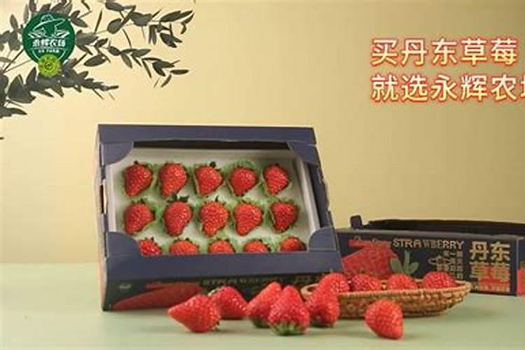 草莓种植需要什么肥料 草莓种植需要哪种肥料