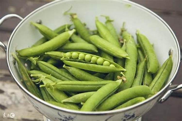 早金霞油蟠桃苗价格多少钱一棵？定植后多久挂果？