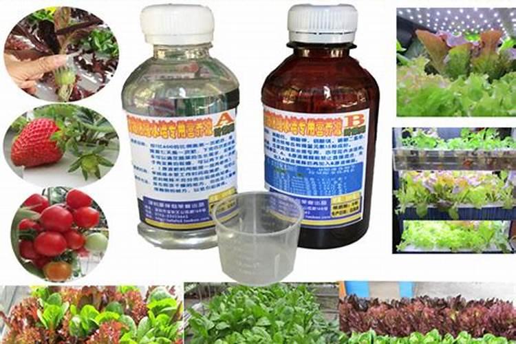植物营养液属于化肥吗？