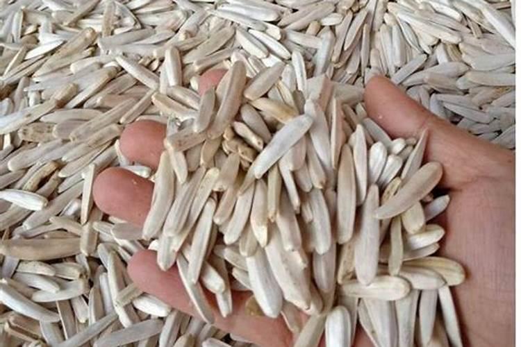 白瓜子的食疗功效