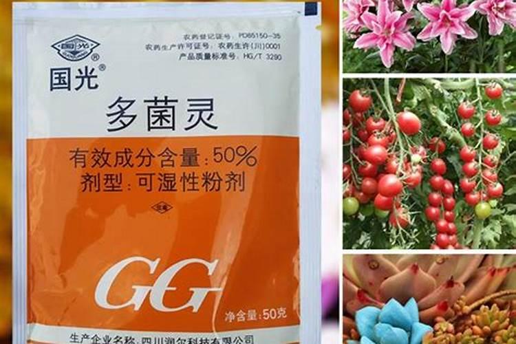 买花赠送的肥料如何辨别真假并安全使用？