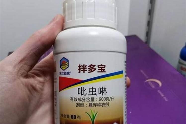 樱桃番茄喷花,应该注意什么？