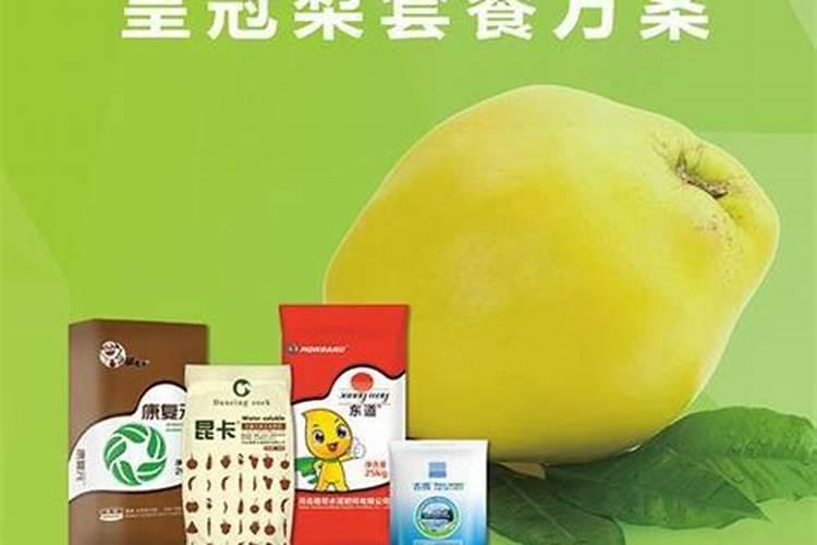 库尔勒香梨开花前期打什么(营养药