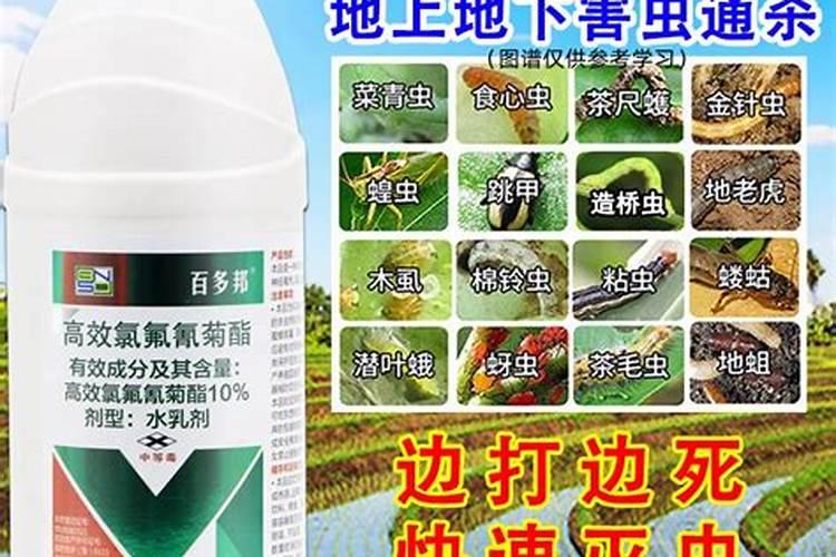 果树开花前打什么药最好