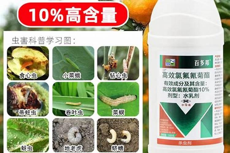 果树杀菌药有哪些