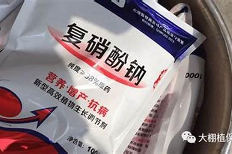 氮肥超标对西瓜危害是什么