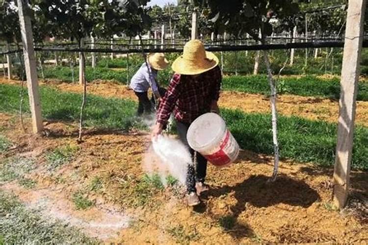 黑土、黄土、红壤、水稻土、和紫色土在肥沃方面的排名