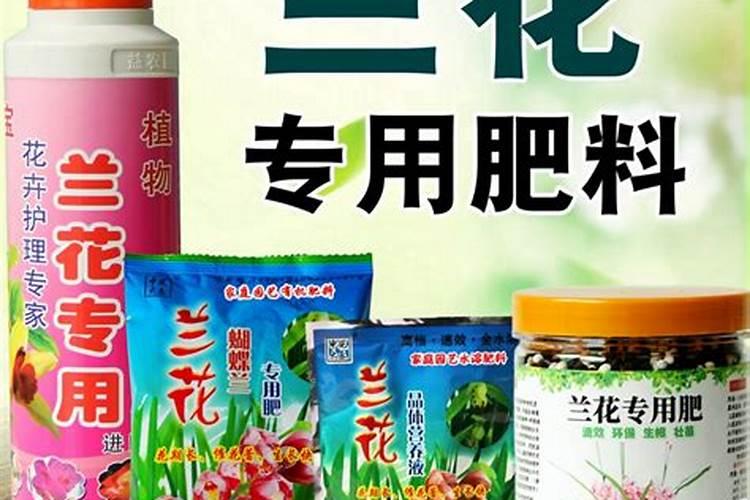 君子兰用什么肥料