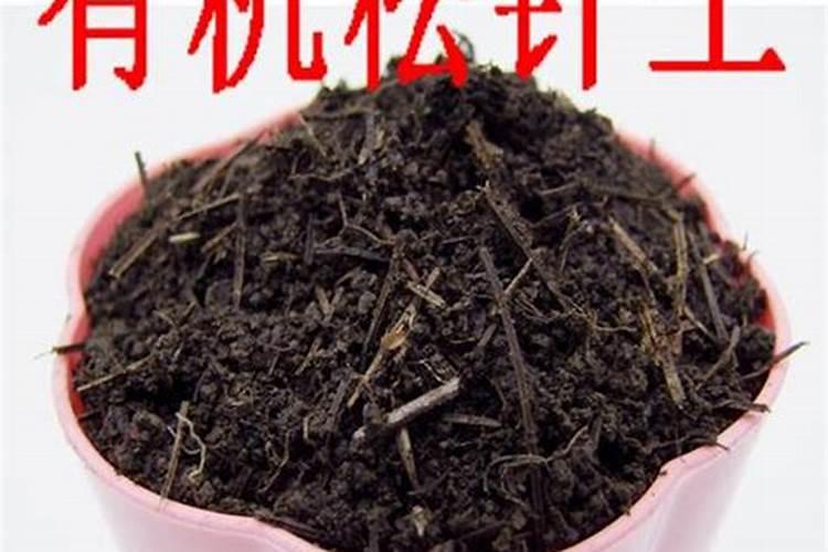 兰花养护最好的肥料