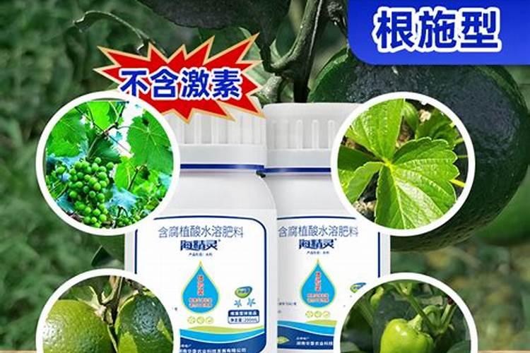 黄瓜多久施肥一次