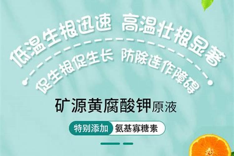 花卉施肥的最佳时间 花卉施肥的方法和技巧