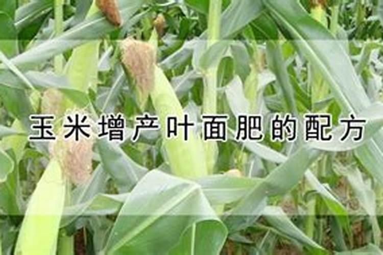 氮磷钾肥料怎么用才能种花