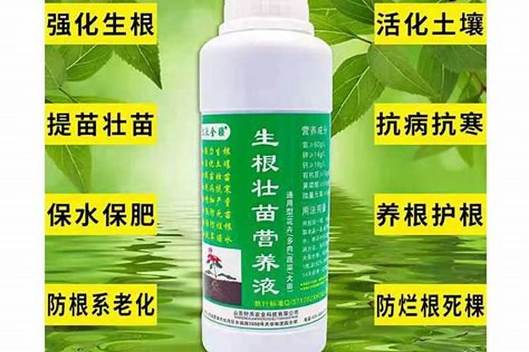 氮肥的作用