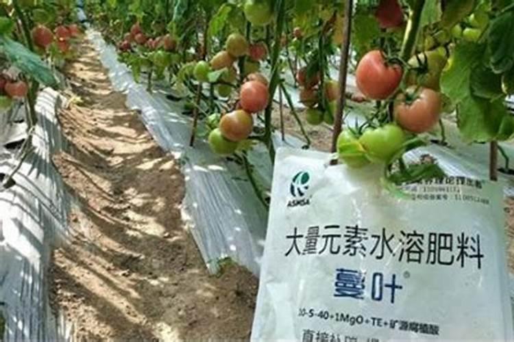 施氮肥的作用