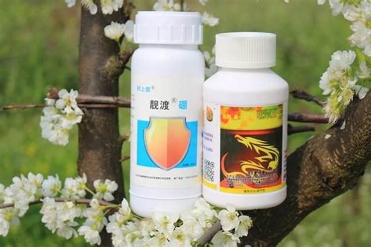 磷酸二氢钾适合哪些花 有哪些作用及好处