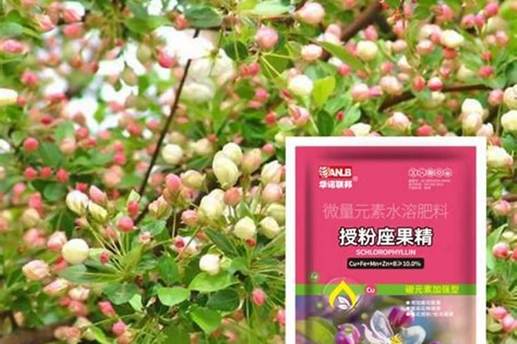 我想知道现在的化肥目前的市场价格多少钱一吨啊？