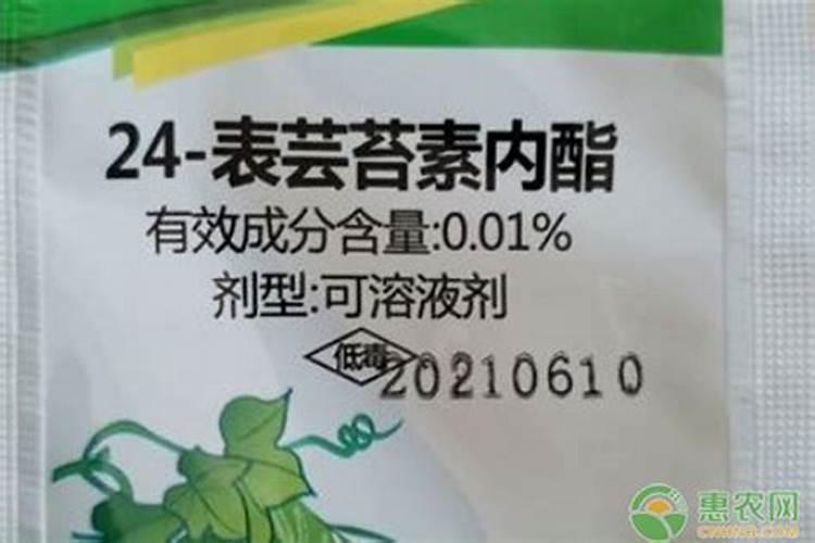 玉米几叶能用芸苔素,芸苔素多久喷一次